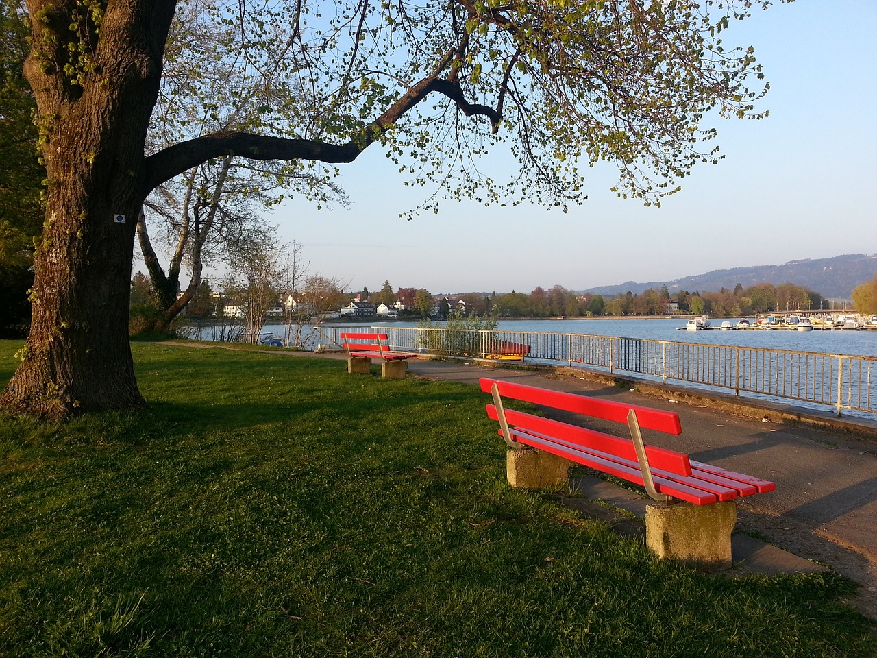 定決心離開 定決心離開