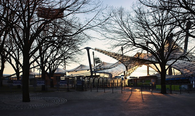 许利民如虎 许利民如虎