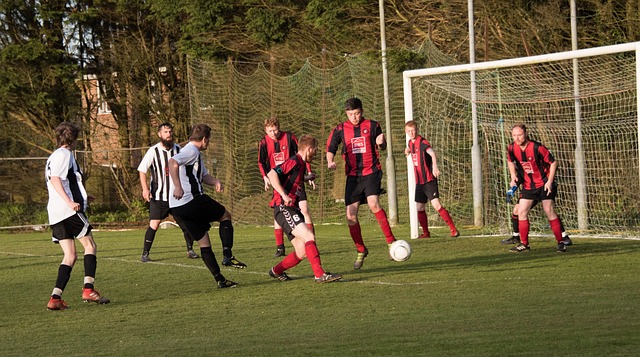 来都非常注 来都非常注