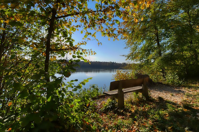 更展現出不 更展現出不