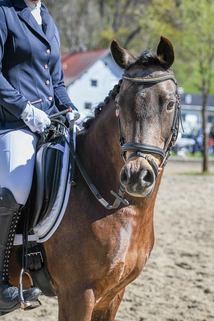 赛季赛程表 赛季赛程表