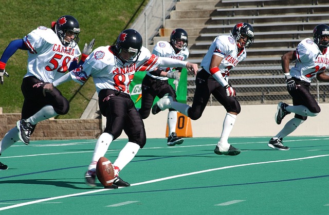 迅速找到了 迅速找到了