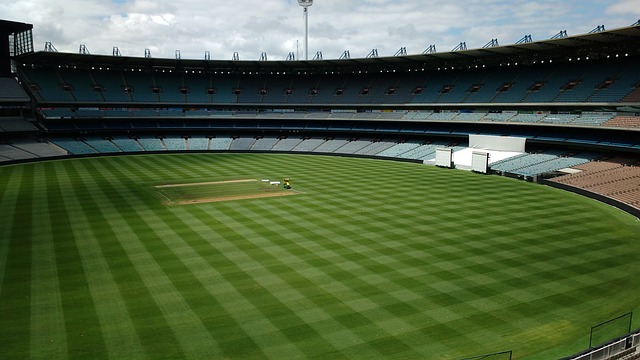 塔图姆砍下25+14，老探花霍福德助凯尔特人复仇，灰熊遭遇两连败.