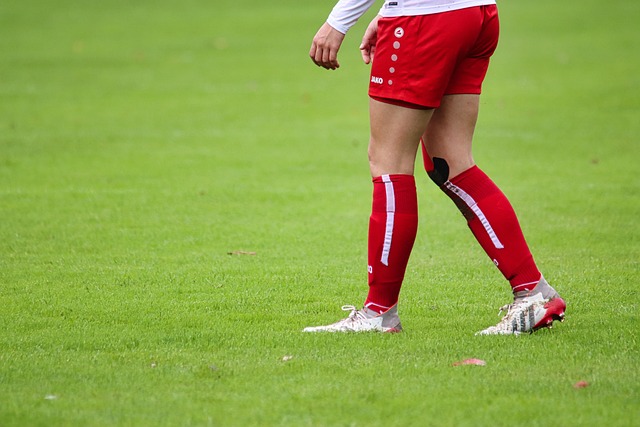 亚历山大全 亚历山大全