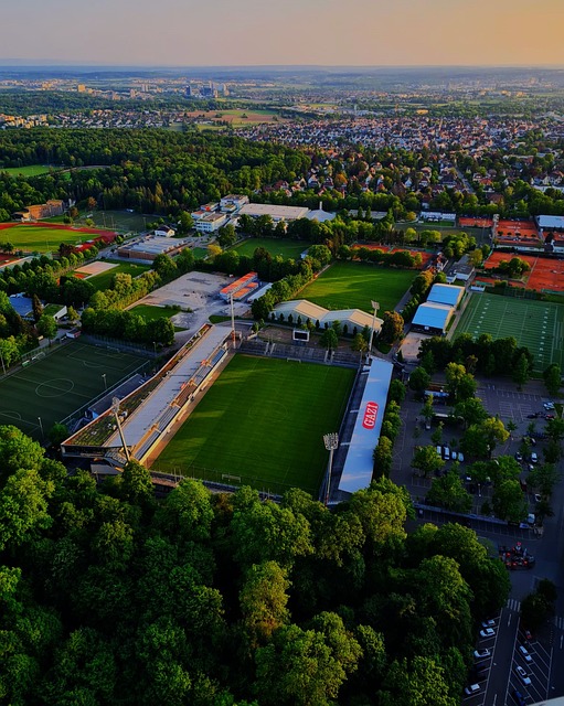 须寻找新的 须寻找新的