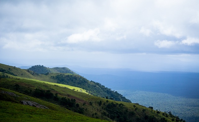 重要保障 重要保障